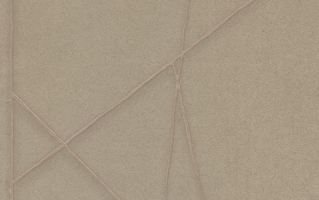 Texam EN104 Entanglement - tapeta geometryczne linie
