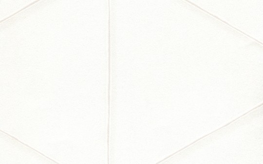 Texam EN202 Entanglement DoubleSlit - tapeta geometryczne fale