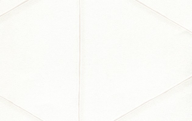 Texam EN202 Entanglement DoubleSlit - tapeta geometryczne fale