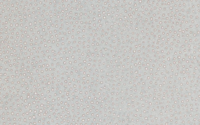 8db3f9df1b348d8cfd1ebfda101349e7