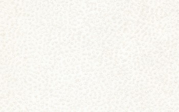 2d70ad36fd222a10081cb262eda0305d