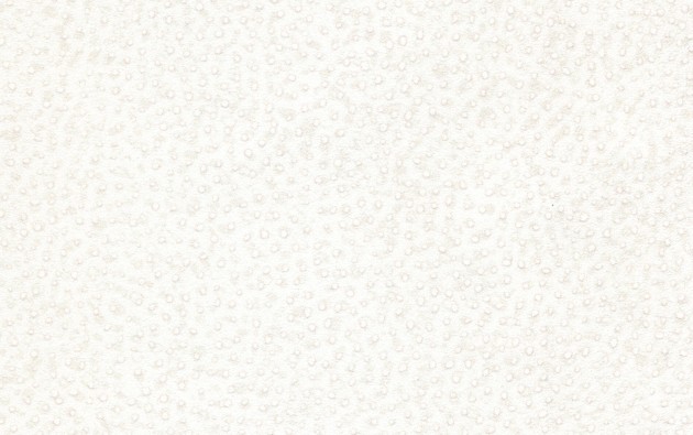 Texam EN302 Entanglement Fusion - tapeta w organiczne kropki