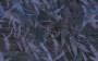 16e10e3729a1ae95b9a81de1bfb757ce