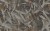 f6714ef51112ce6f9a6f2b1d6b545d8b