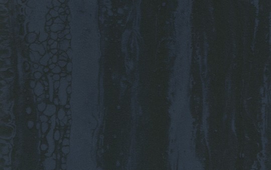 Texam RL200 Reale Medici - tapeta aksamitna imitująca fornir drewniany