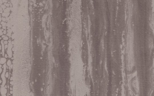 Texam RL205 Reale Medici - tapeta aksamitna imitująca fornir drewniany