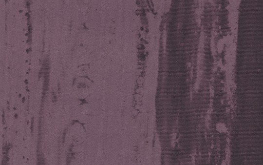 Texam RL206 Reale Medici - tapeta aksamitna imitująca fornir drewniany