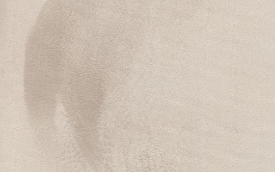 Texam RL504 Reale Casanova - tapeta welurowa