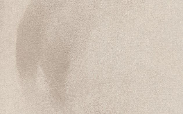 Texam RL504 Reale Casanova - tapeta welurowa