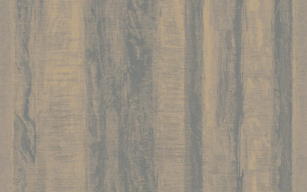 Texam TM311 Timeless Gneiss - tapeta imitująca skałę