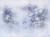 43b219c8fd748d9359f29e8f2f4f34a6