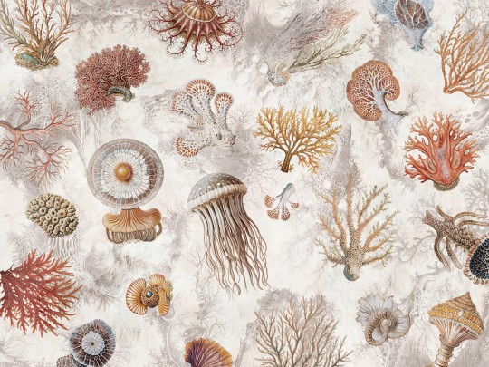 Wallcraft 1055 31 2501 2025 Oceana - mural w meduzy i koralowce