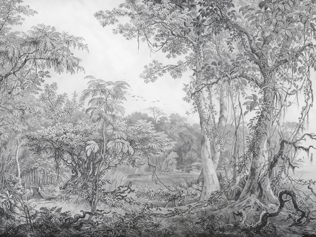 Wallcraft 965 32 2402 2025 Foresta - mural w leśny krajobraz