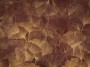 66e4b026dcea8b6e6022120314be5957