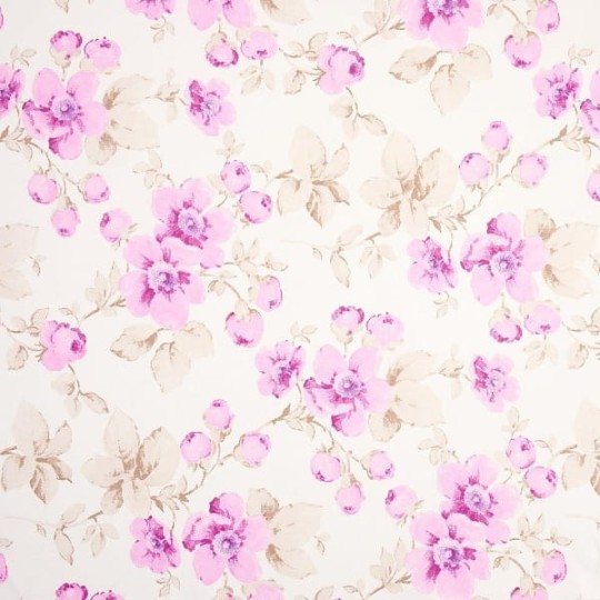 Tapety Lily Rose 21285111