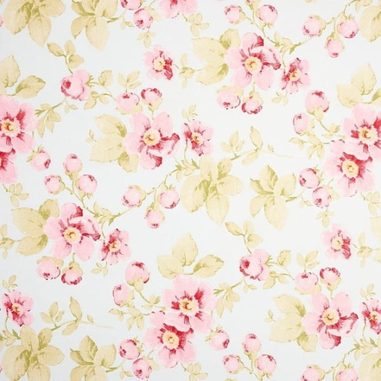 Tapety Lily Rose 21286415