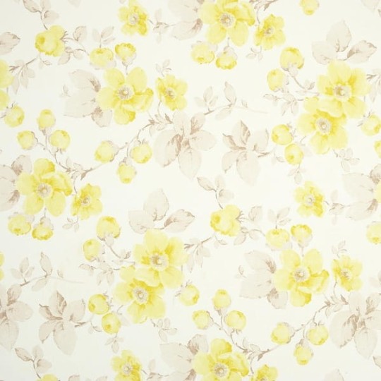 Tapety Lily Rose 21287126