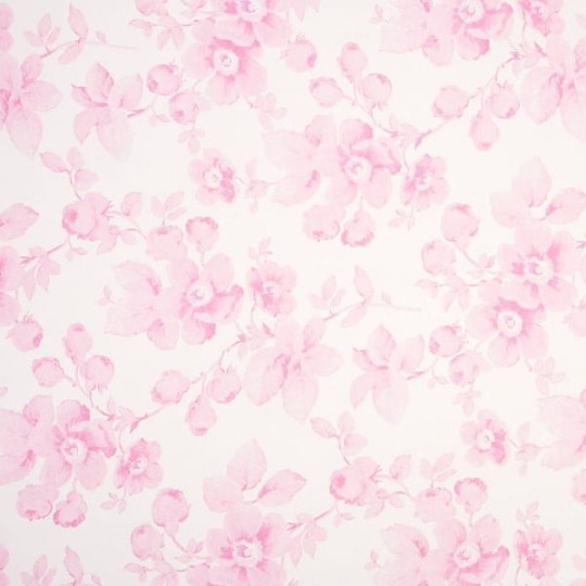 Tapety Lily Rose 21314114