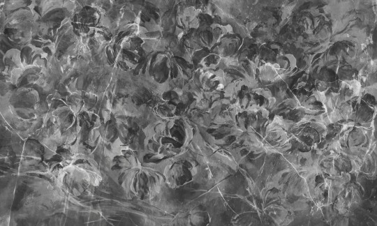 Rauv Harmony Bloom Whirl 2 - mural w kwiaty