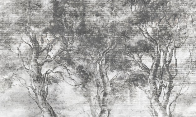 Rauv Harmony Forest Escape 2 - mural w drzewa