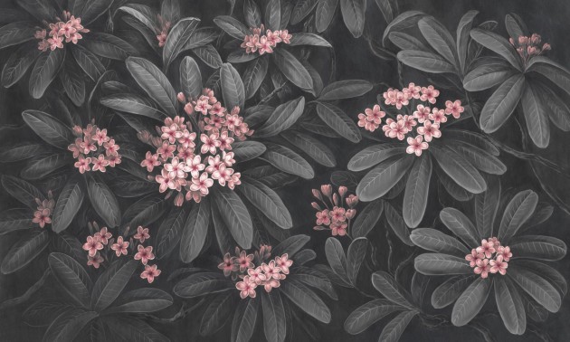 Rauv Harmony Frangipani 2 - mural w egzotyczne liście i kwiaty