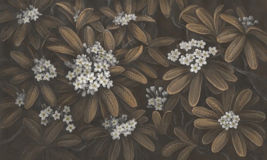 Rauv Harmony Frangipani 3 - mural w egzotyczne liście i kwiaty