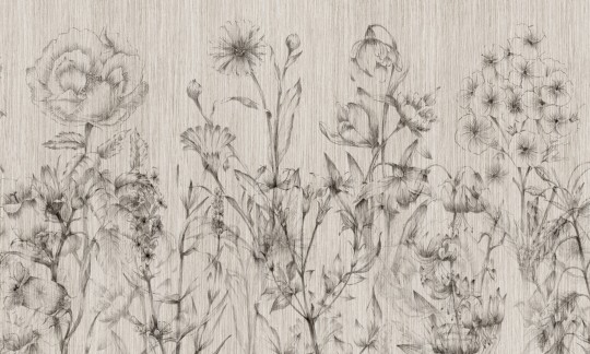 Rauv Harmony Floral Pencil - mural w szkic polnych roślin