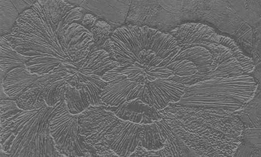 Rauv Mirage Gypsum Petals 3 - mural w kwiaty