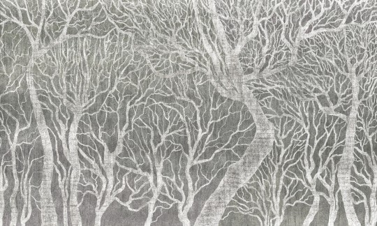 Rauv Mirage Frozen Canopy 3 - mural w leśny pejzaż