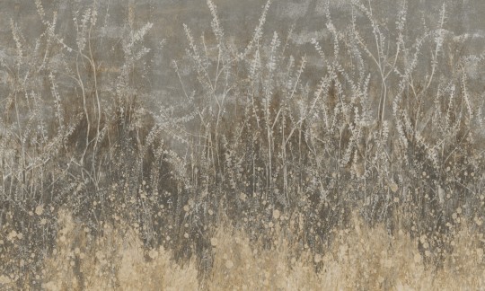 Rauv Mirage Golden Reeds - mural w polne rośliny