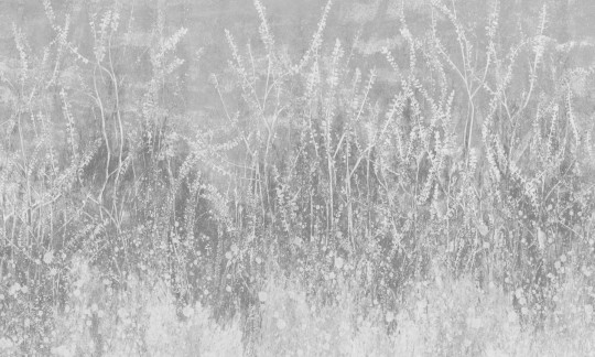 Rauv Mirage Golden Reeds 2 - mural w polne rośliny