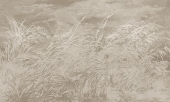 6bdf3e8d9485d249af207793cb4d5cfd