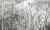 0dc4be1585ca6ef023ccf93e106d388d