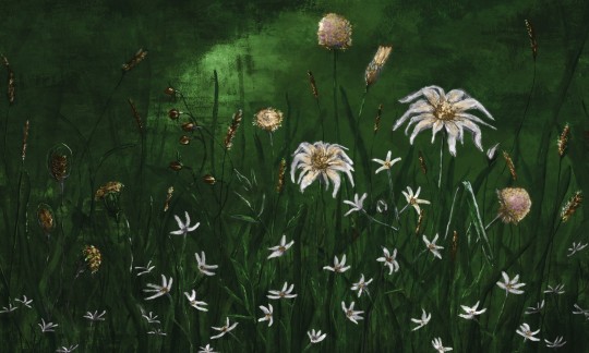 Rauv Mirage Cold Flowers 4 - mural w polne rośliny