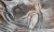 561be8437111aaec0d3402587ec39778