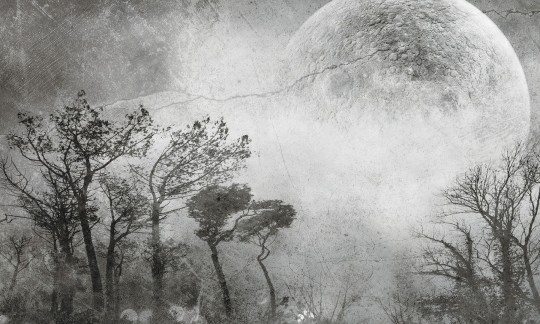 Rauv The First Moonlight - mural w nocny pejzaż