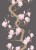 13d2c158164e828299eacc37d4b8a24c