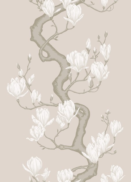 Cole & Son 128/1003 Classics Collection Vol. II Magnolia Tree Soft Cream and Powder - tapeta z drzewem magnolii
