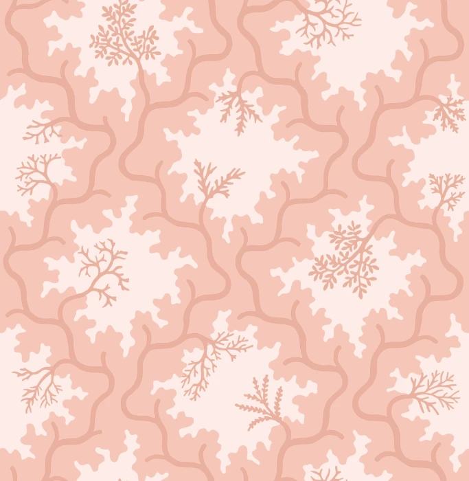 c288e9923b41a070f32583977feebea9