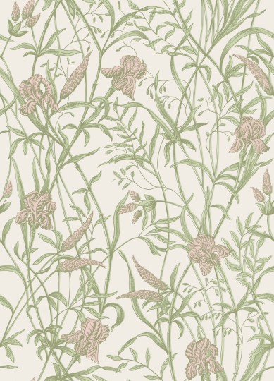 Cole & Son 128/5025 Classics Collection Vol. II Iris Soft Coral on Chalk - tapeta w irysy