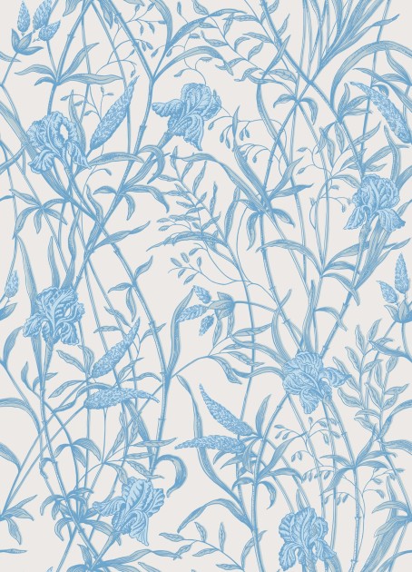 Cole & Son 128/5026 Classics Collection Vol. II Iris Soft Cerulean on Porcelain - tapeta w irysy