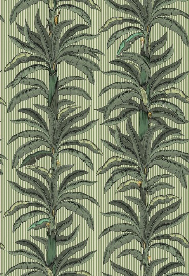Boras Tapeter 9711W Château Collection Rayure Palmier Green - mural w liście palm i paski