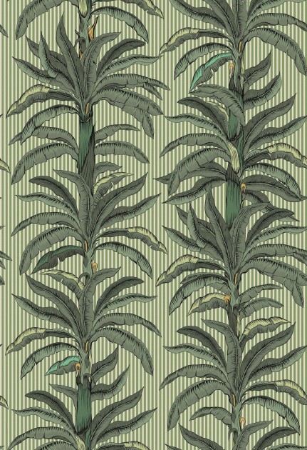 Boras Tapeter 9711W Château Collection Rayure Palmier Green - mural w liście palm i paski