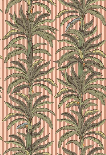 Boras Tapeter 9712W Château Collection Rayure Palmier Pink - mural w liście palm i paski