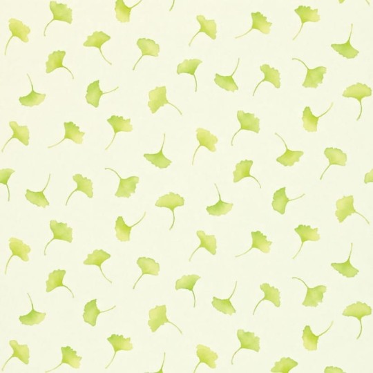 Tapeta Sanderson Options 11 212420