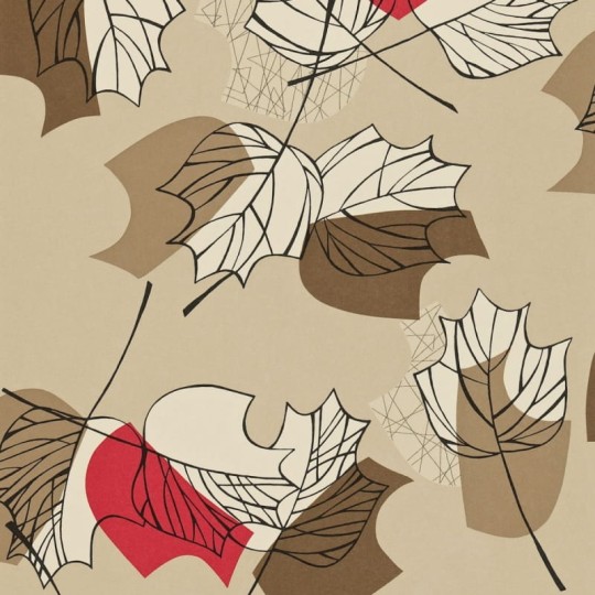 Tapeta Sanderson Options 11 212426