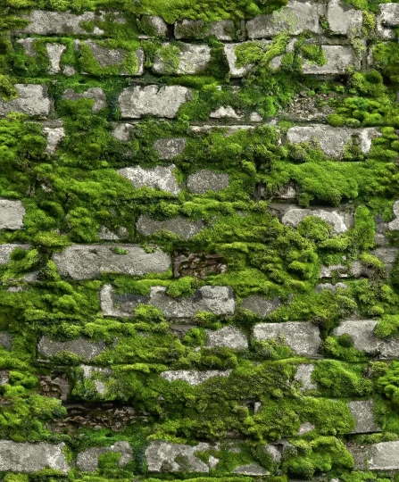 Marburg 45731 Struktura - tapeta imitująca cegły porośnięte mchem
