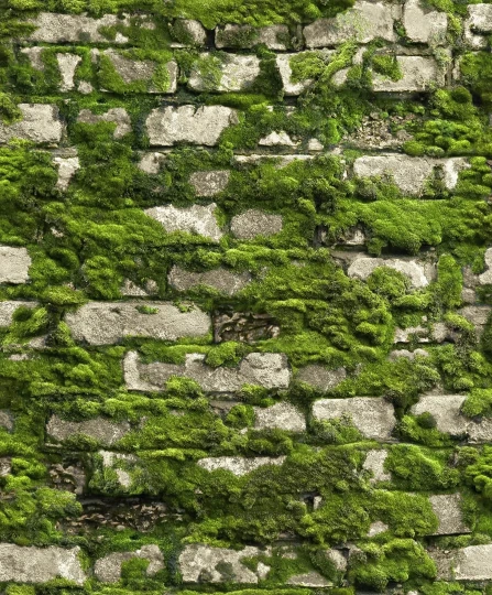 Marburg 45732 Struktura - tapeta imitująca cegły porośnięte mchem