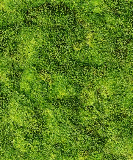 Marburg 45733 Struktura - tapeta z motywem mchu