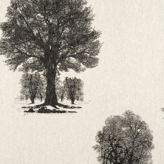 Tapeta York Enchantment ET2057